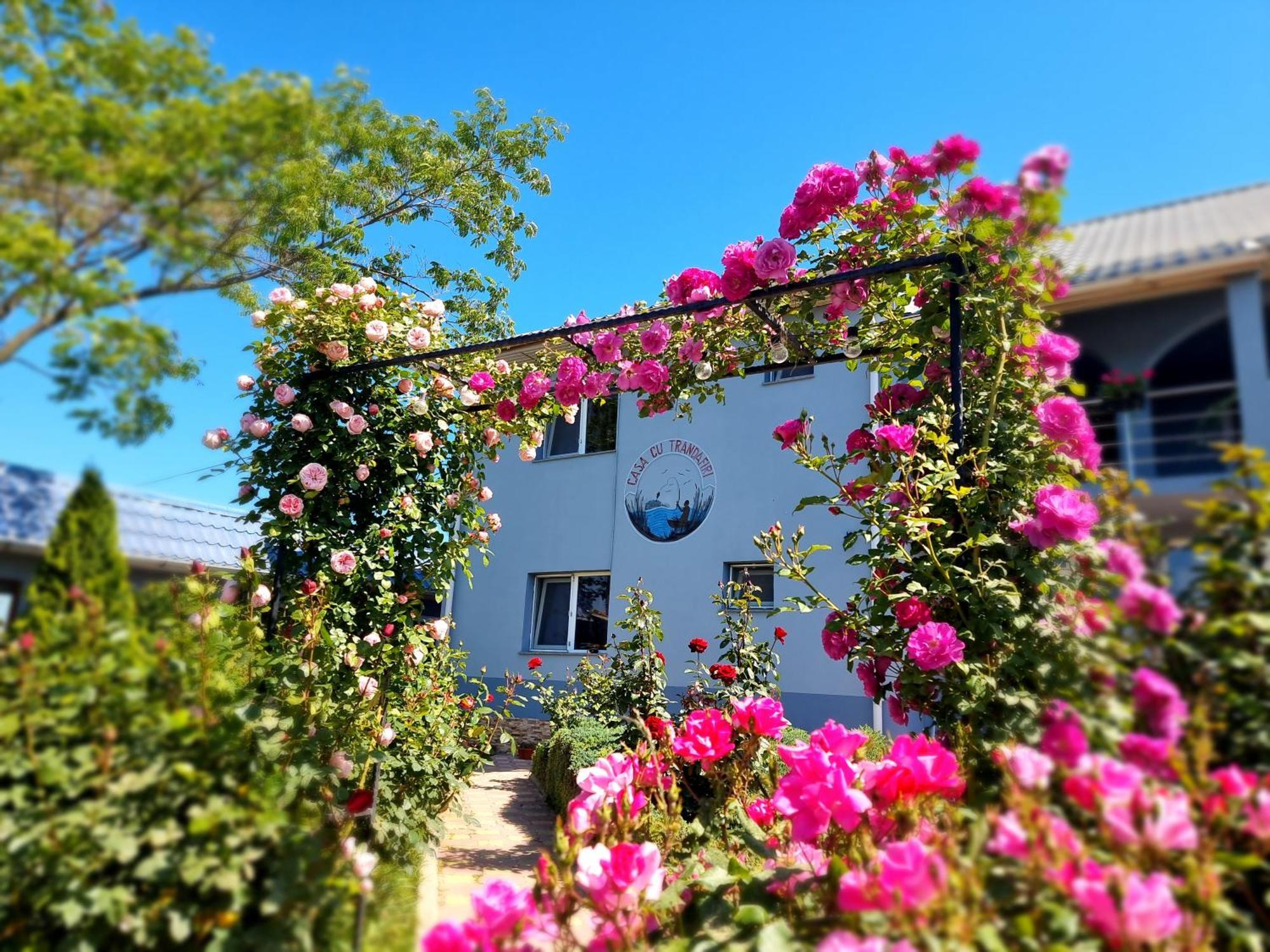 Casa Cu Trandafiri Murighiol Exterior foto